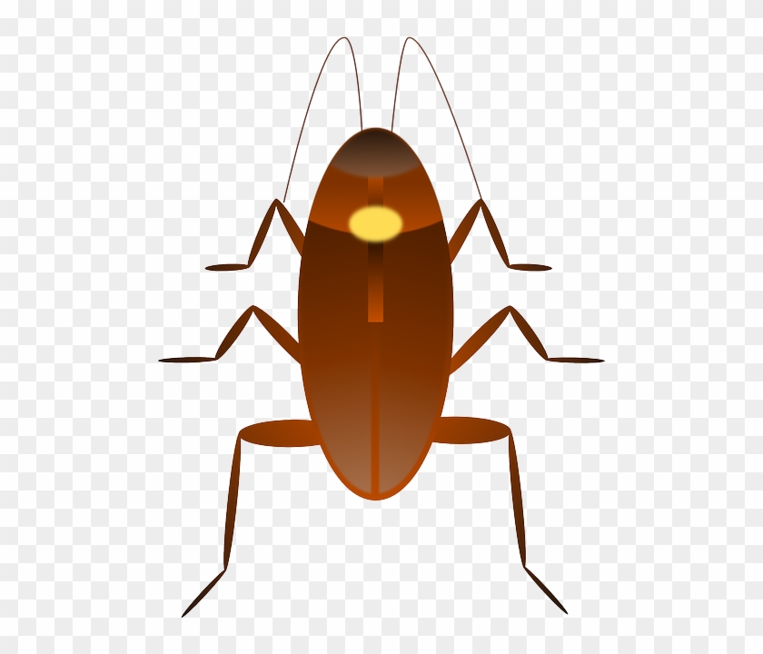 Bug Cockroach, Insect, Ugly, Bug - Cockroach Emoji Clipart