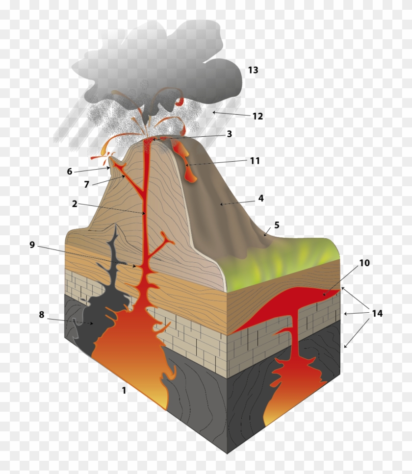 Illustration For Ponto & Vírgula´s Natural Science - Illustration Clipart #3410220