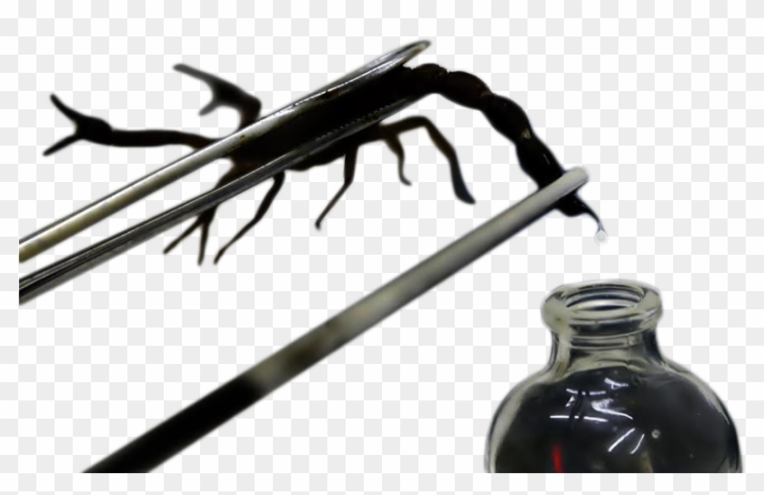 Veneno - Scorpion Venom Clipart