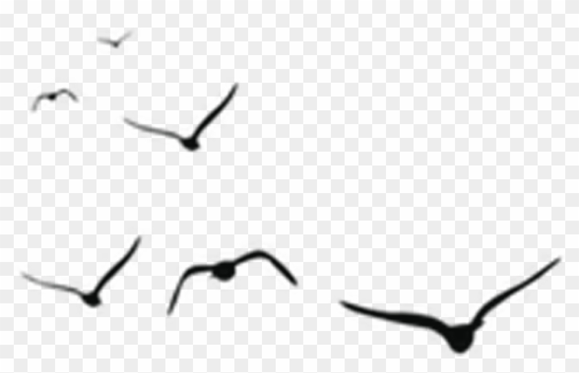 Free Online Crane Bird Animals Birds Vector For Design - Birds Vector Clipart #3410638