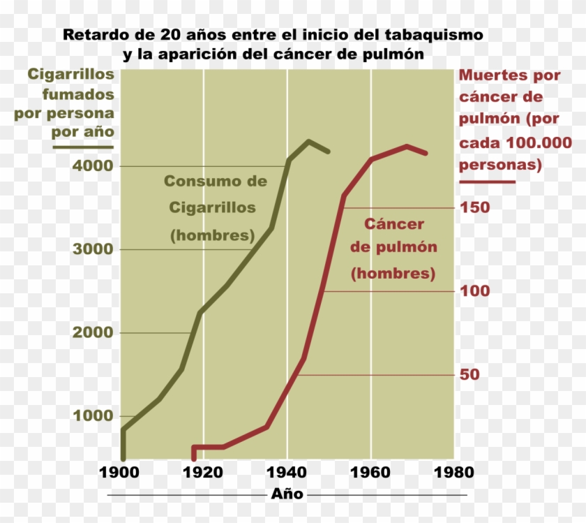 Download Lung Cancer From Smoking Clipart Png Download PikPng