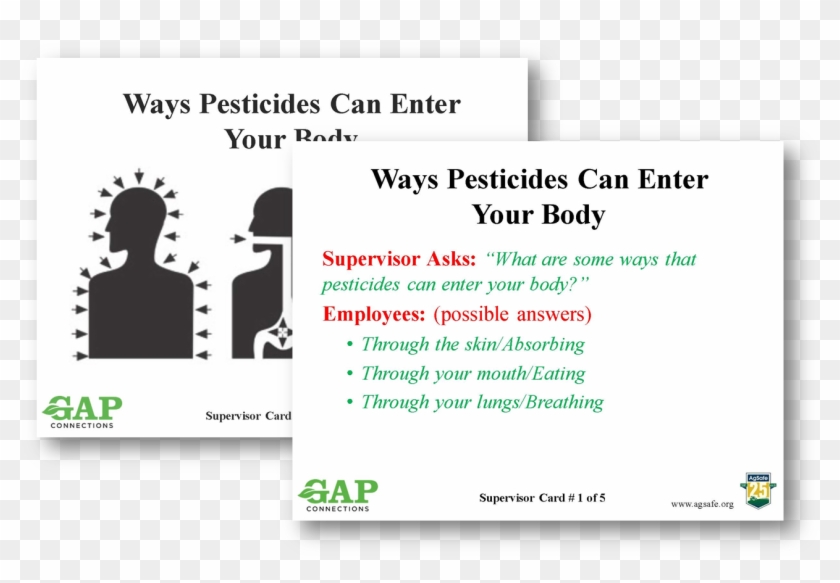 Cards) - •• - Pythian Sisters Clipart