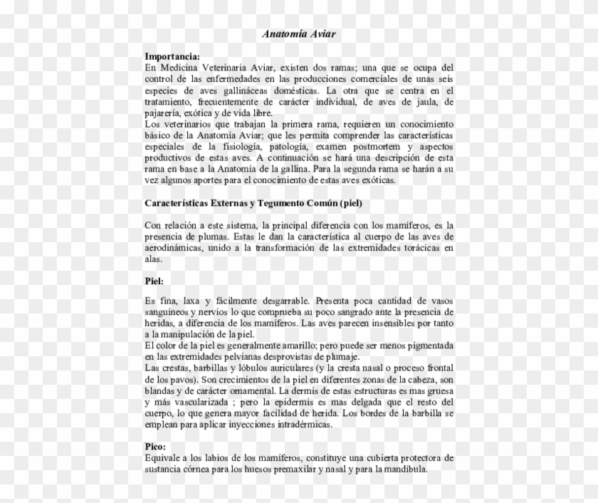 Pulmones Huesos Ave Piel Cráneo Pulmones Huesos Ave - Wniosek O Ponowne Rozpatrzenie Sprawy Urząd Patentowy Clipart