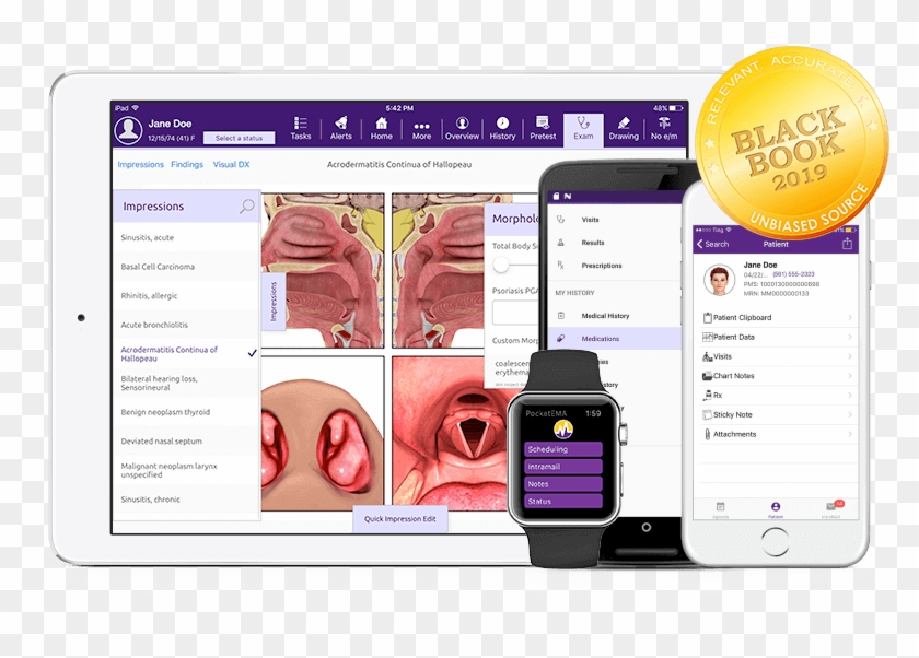 Modmed Otolaryngology Software Suite On Ipad, Iphone, - Modernizing Medicine Clipart #3412331