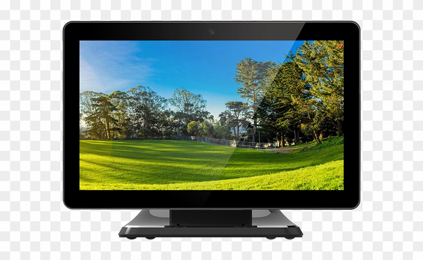 Null - Grass Panoramic Clipart #3412334