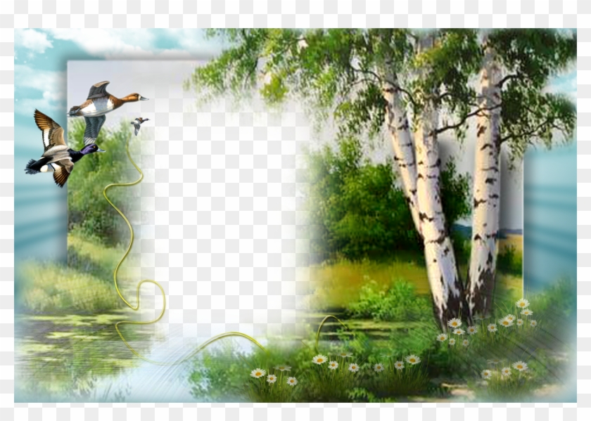 Name Your Link - Natural Photo Frame Png Clipart #3413247