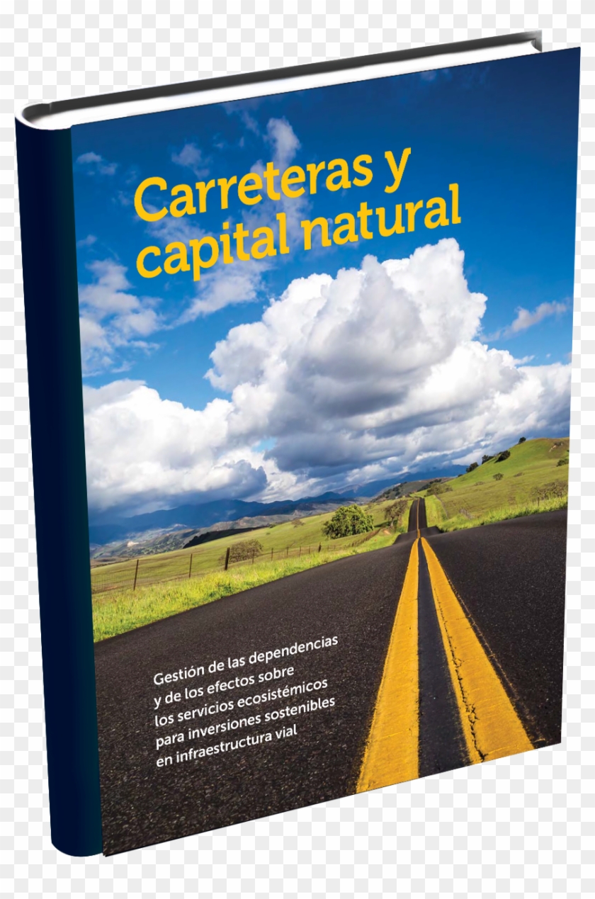 Carreteras Y Ecosistemas - Flyer Clipart