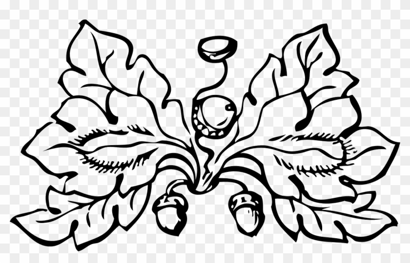 White Oak Leaves White Oak Acorns Oak Tree - Fall Leaves Clipart Clipart Black And White - Png Download