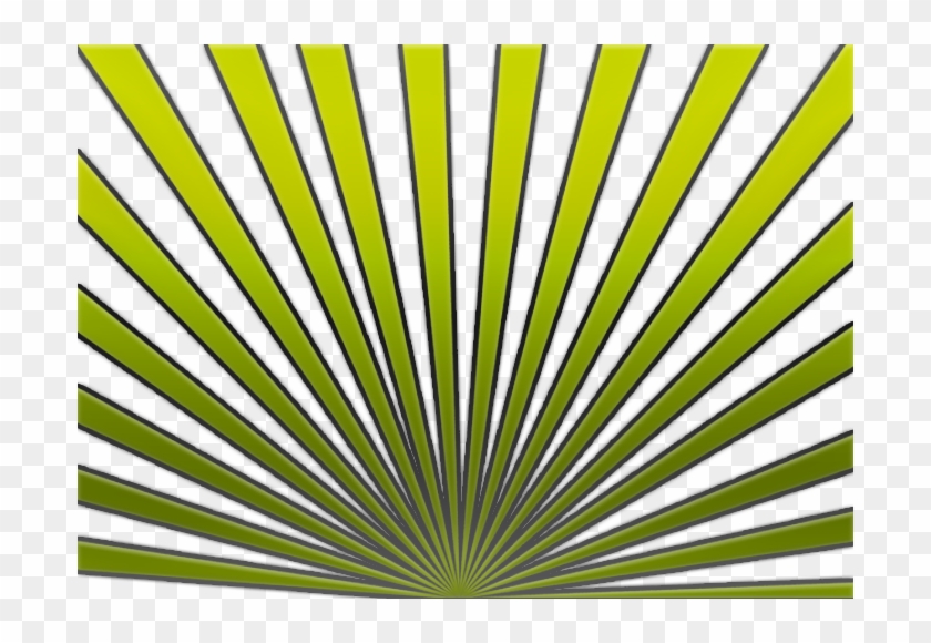 Efeito Verde, Lda , Png Download - Saw Palmetto Clipart