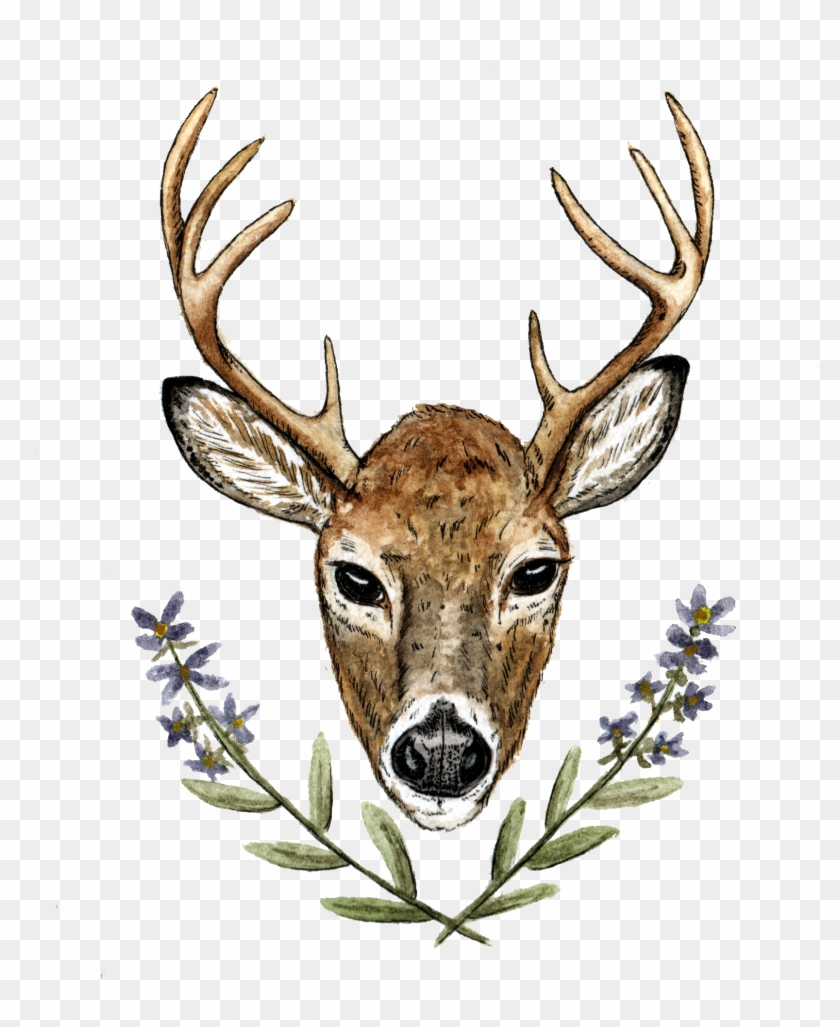 Cassie & Craighorse Camp Weddingeganville, On - Deer Wedding Png Clipart