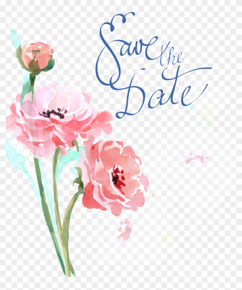 Hand Painted Watercolor Peony Flower Painting Decorative - Watercolor Painting Clipart