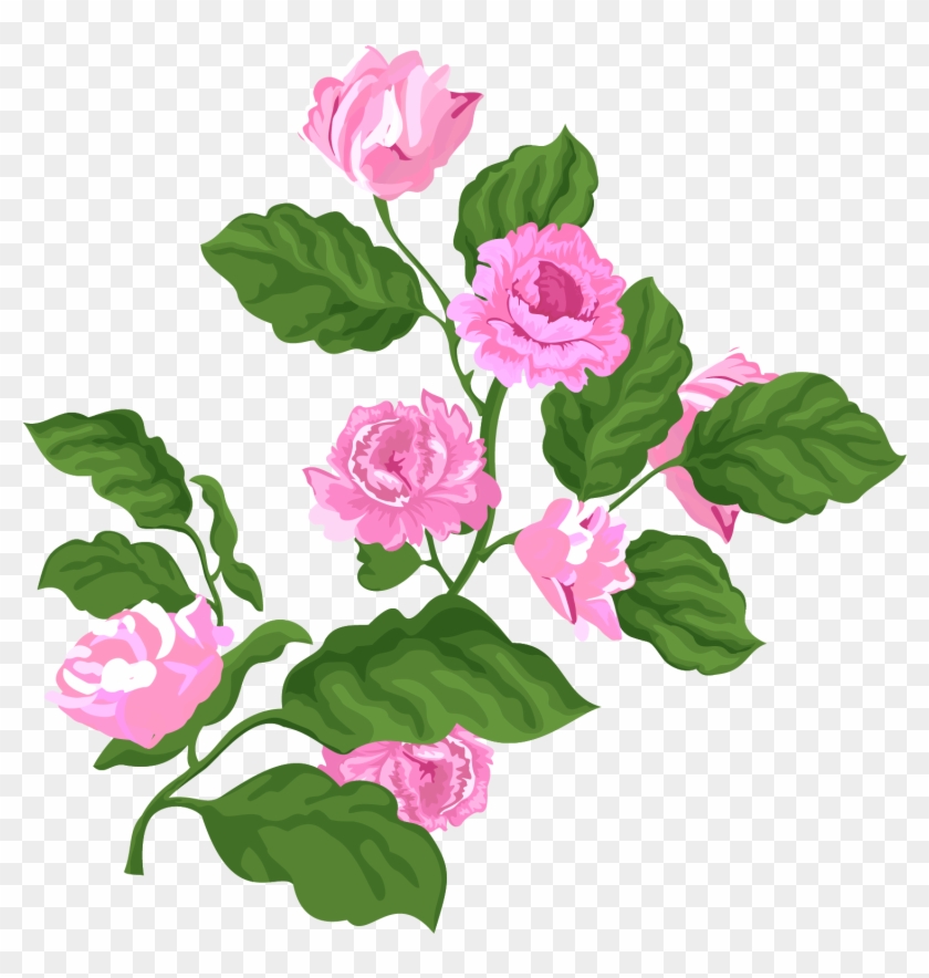 Rose Pink Valentine Plant Png And Vector Image - Garden Roses Clipart