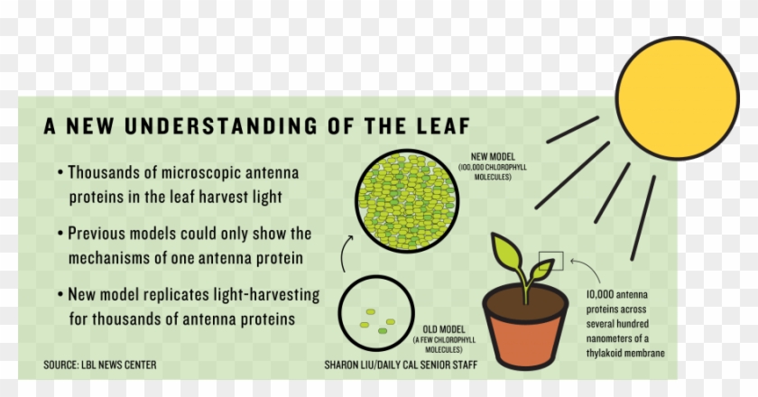 Berkeley Lab Researchers Create New Light-harvesting - T Turn Out The Lights Clipart