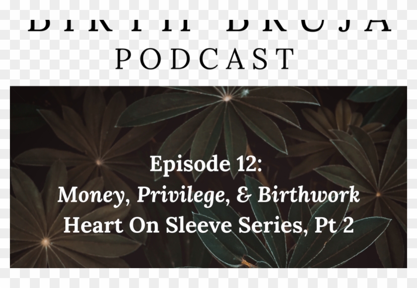 12, Money, Privilege & Birthwork, Heart On Sleeve Series, - Graphic Design Clipart #3418773