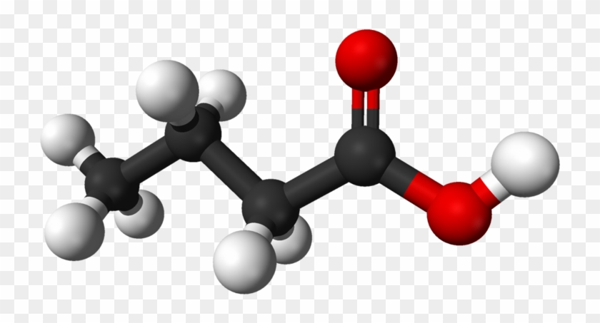 Butyric-acid - Butyric Acid 3d Structure Clipart