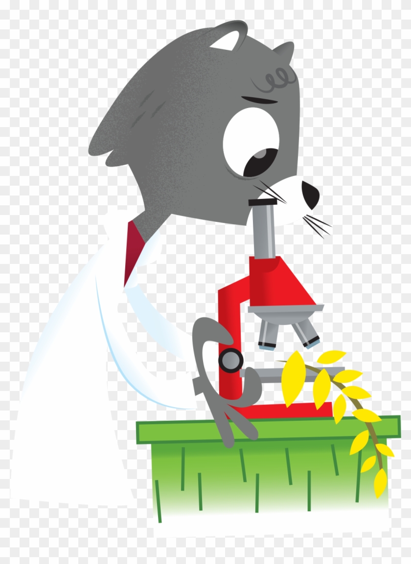 What Is The Smelliest Fruit In The World - Cartoon Clipart