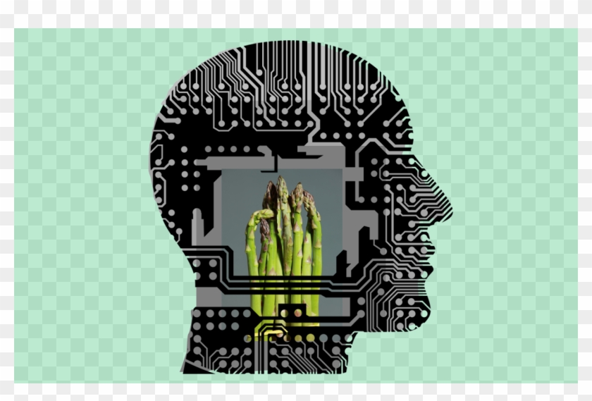 Why Does My Urine Smell When I Eat Asparagus - Reading Is Good For Brain Clipart