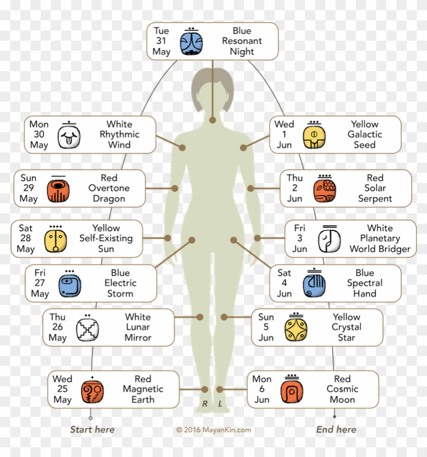 Red Earth Wavespell Of Grounding - Blue Hand Mayan Clipart