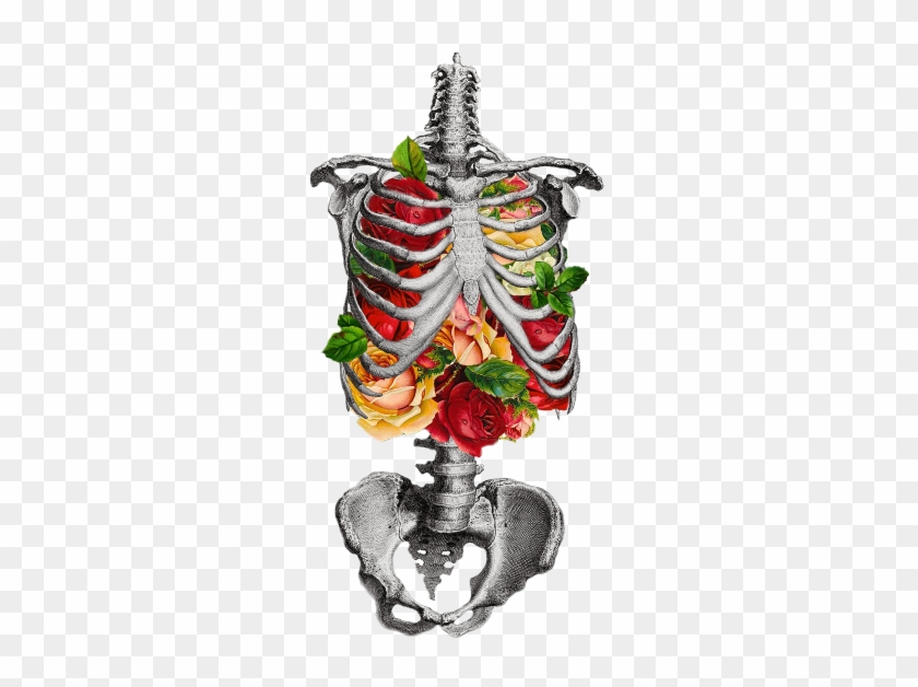 Transparent Inner Beauty - Flowers In Rib Cage Art Clipart