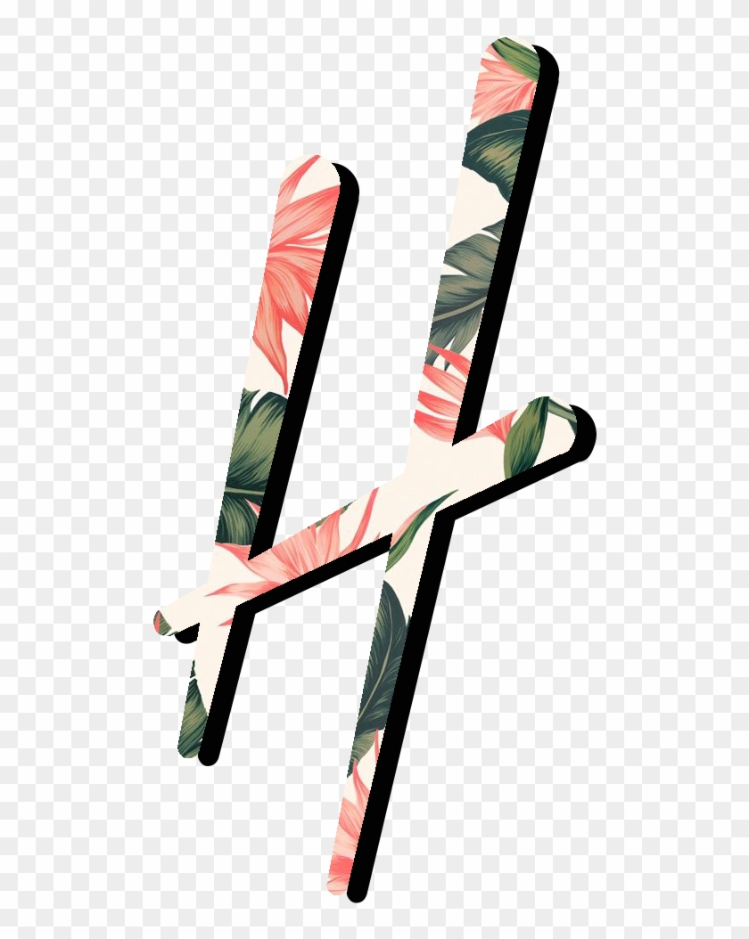 Dj Hapa - Monoski Clipart #3421791