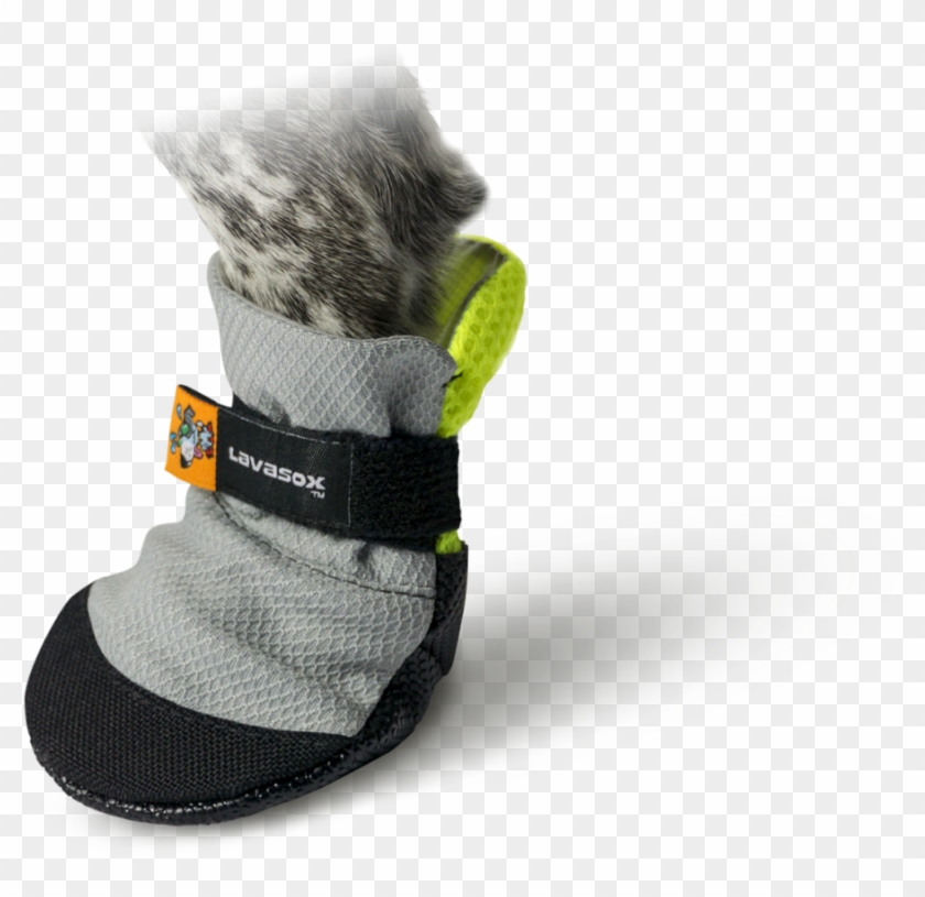 Saltsox Pet Boots Website Banner Clipart #3425122