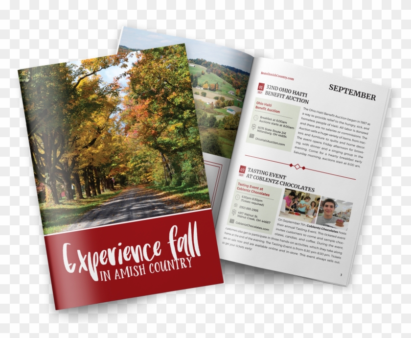 Experience Fall In Amish Country - Flyer Clipart #3425516
