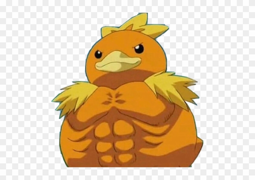 #buff #torchic #pokemon #funny #memes #stickers #freetoedit - Buff Torchic Clipart #3425622