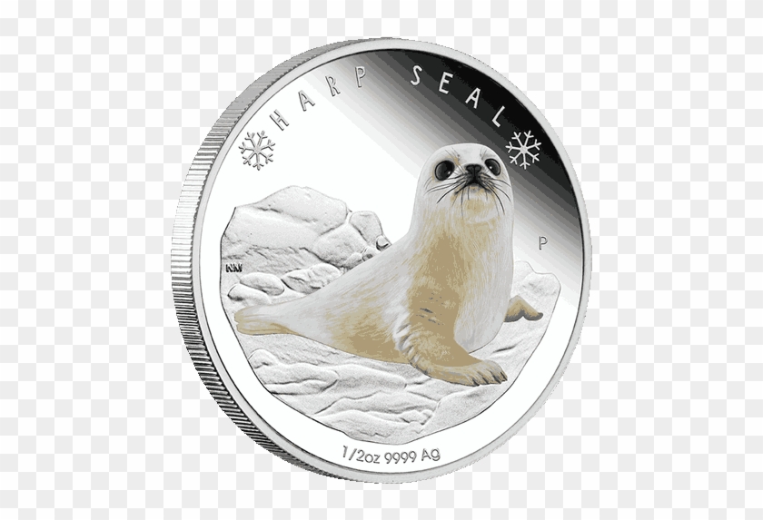 Silver Numismatic Harp Seal Polar Babies Silver Coin - Coin Clipart #3425679