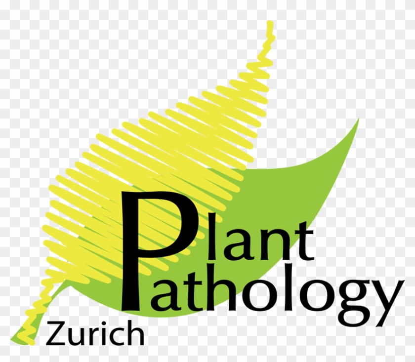 Logo - If You Have Been Tagged Clipart