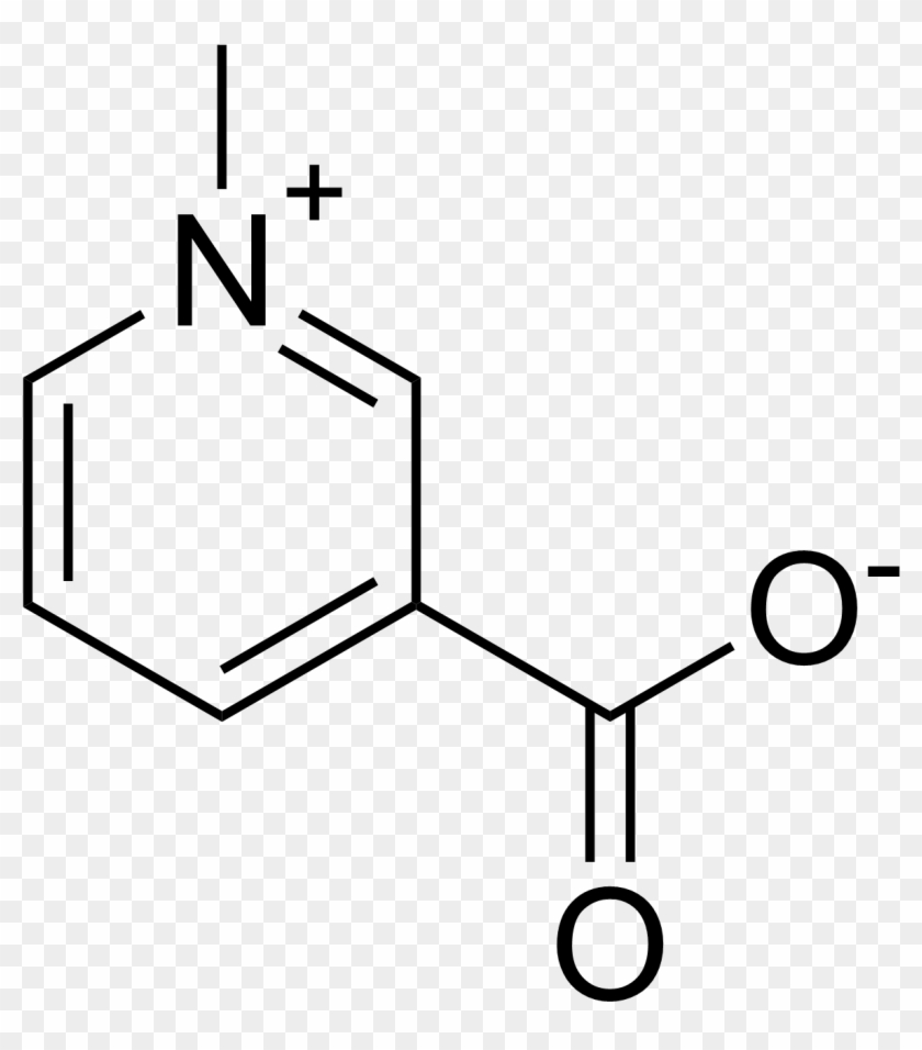 Http - //upload - Wikimedia - - Trigonelline Structure Clipart #3428253