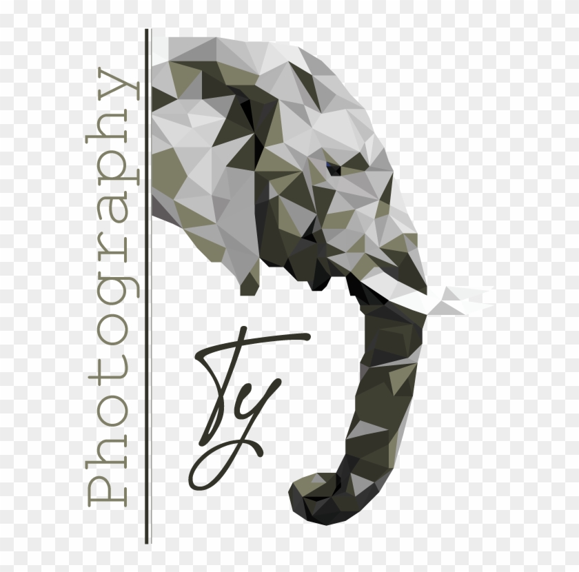 Ty-photography Right Color - Seahorse Clipart #3428568