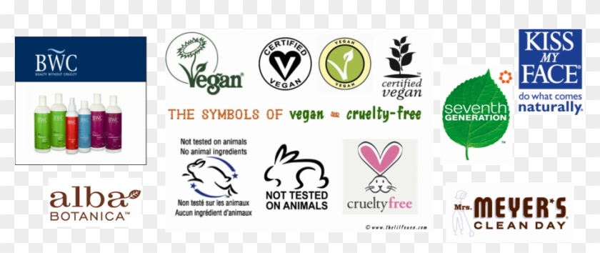 Facts About Animal Testing And Consumer Products - Not Tested On Animals Clipart