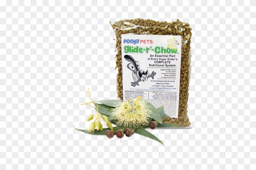 Euca-licious - Food Clipart