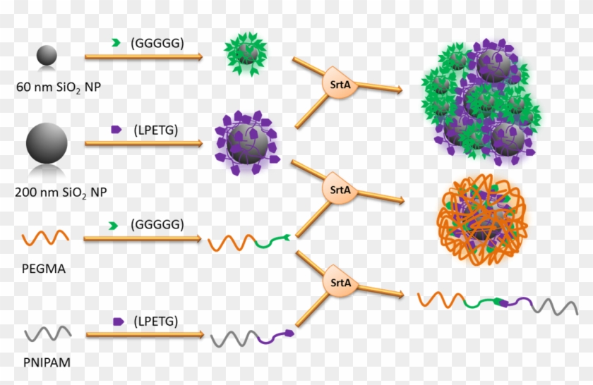 Bild 293x217px - Circle Clipart #3432201