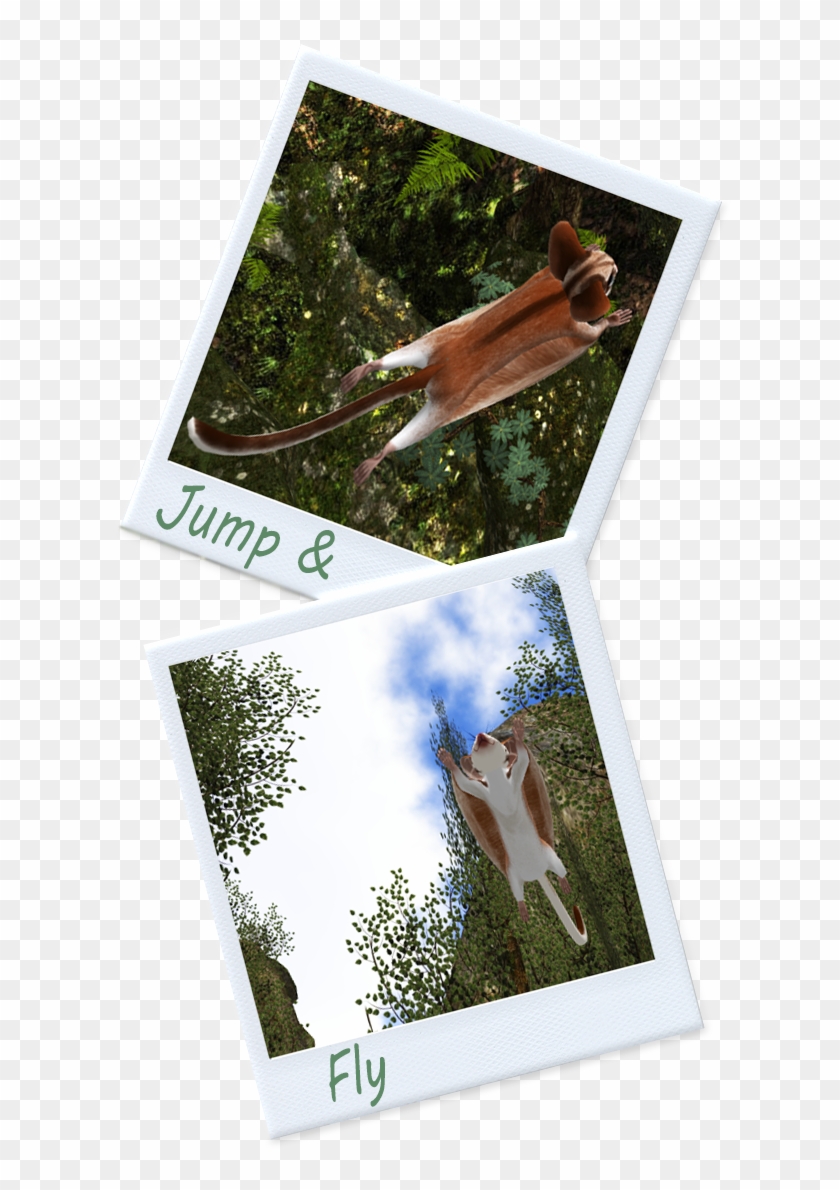 Wilds Of Organica [ Woo ] Sugar Glider Package (t) - Roe Deer Clipart