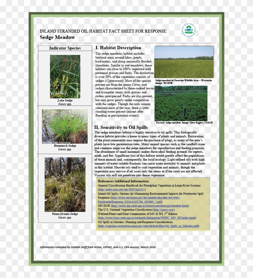 Download Pdf - Grass Clipart