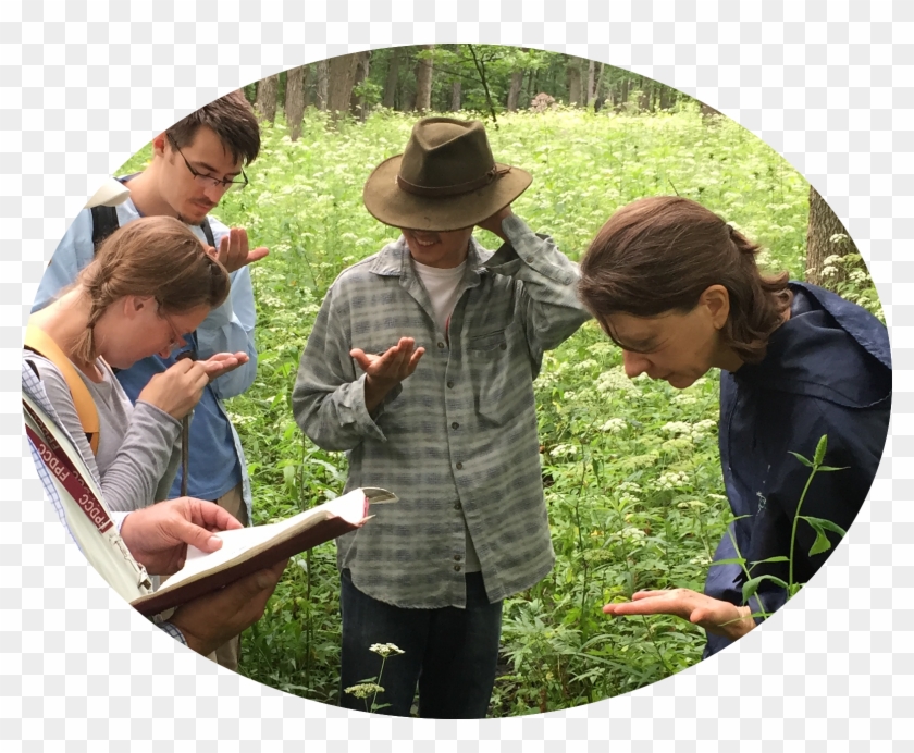 Swink And Wilhelm List 149 Species Of These Grass-like - Agriculture Clipart #3433232