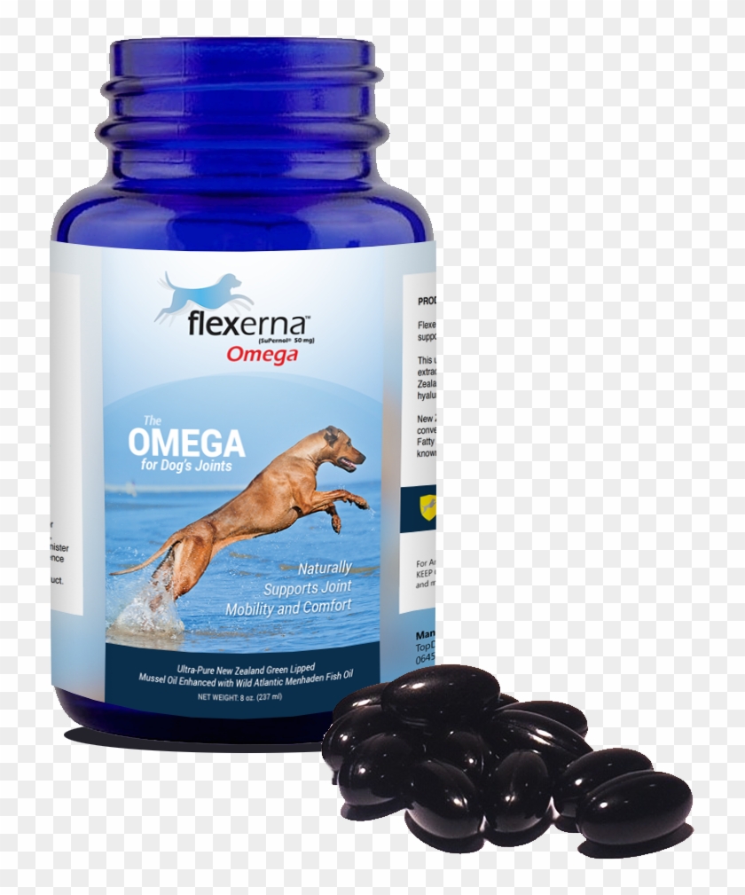 Flexerna Omega® - Companion Dog Clipart #3434145