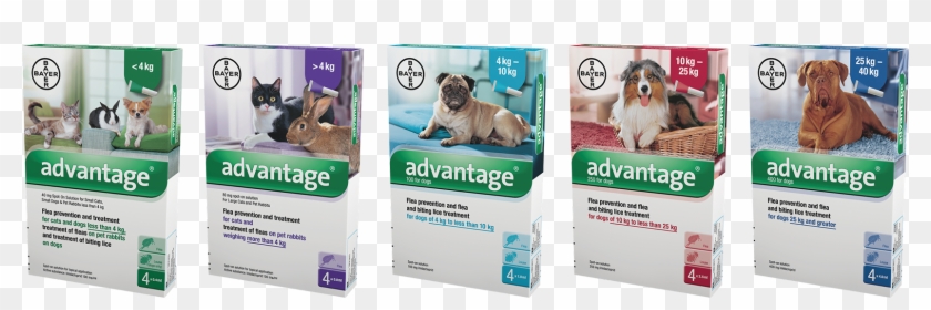 Flea Treatment For Cats, Dogs And Rabbits - Rough Collie Clipart #3434623