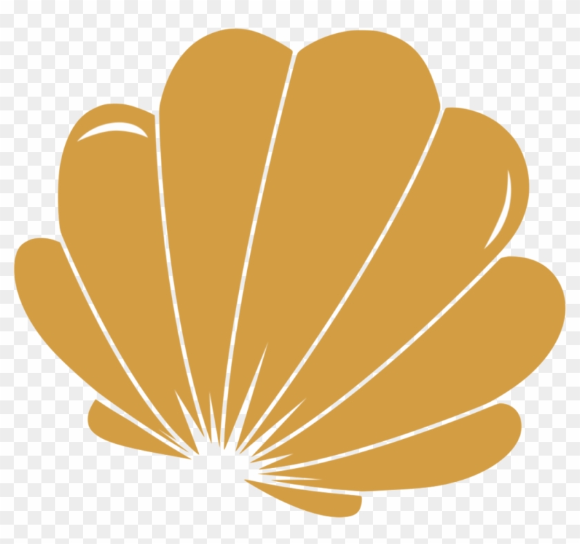 Shell Nereida Lngerie Clipart #3435579