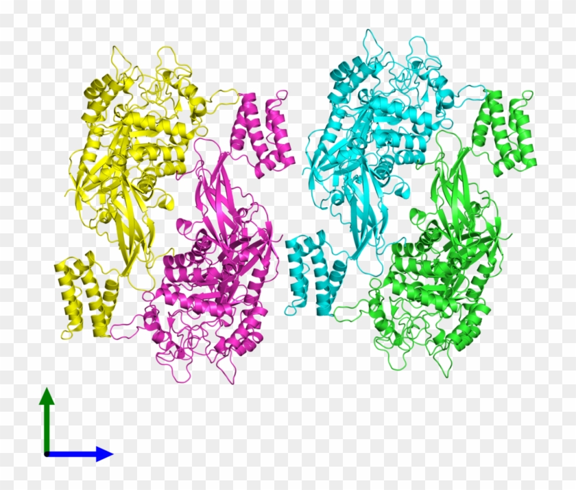 Pdb 3zss Coloured By Chain And Viewed From The Front - Illustration Clipart