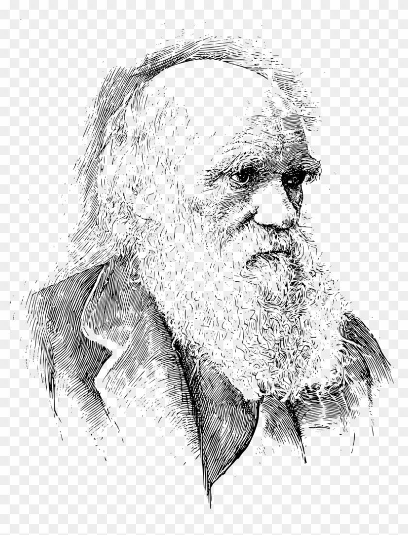 Charles Darwin Portrait Svg - Drawing Charles Darwin Portrait Clipart #3437824