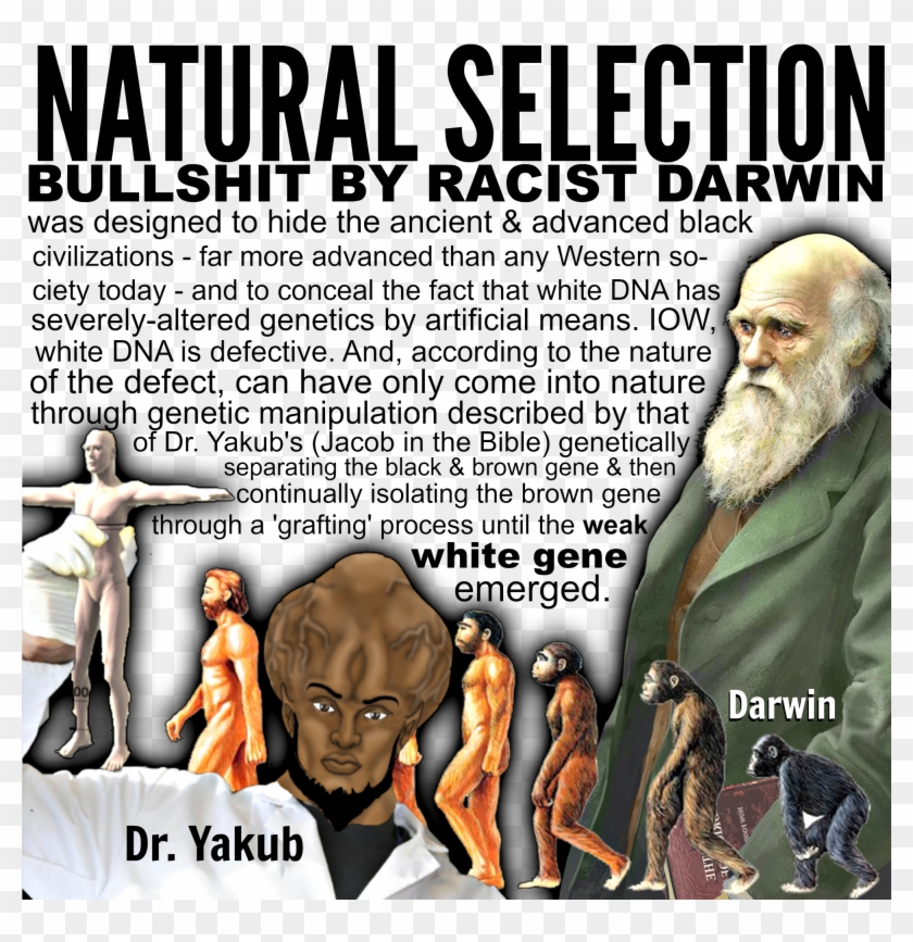 The4thangelsbowl - We Wuz Kangz Yakub Clipart #3438019