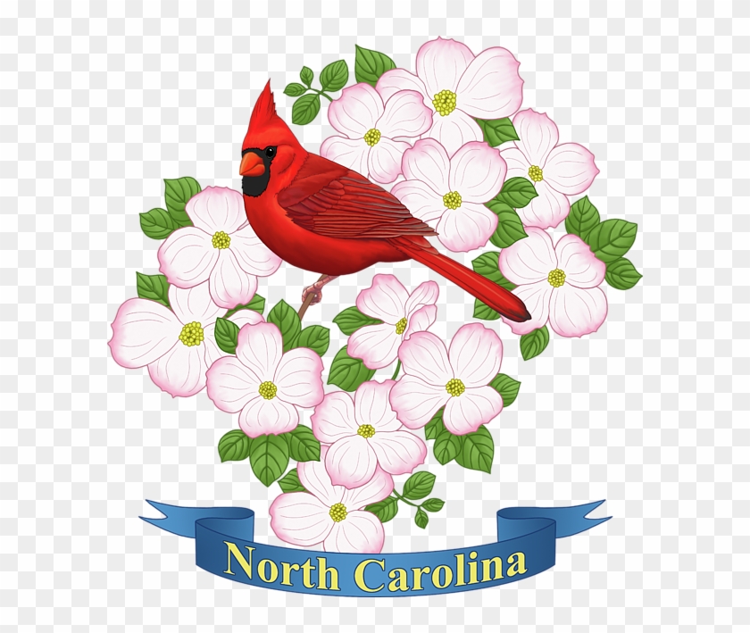 Bleed Area May Not Be Visible - North Carolina State Flower And Bird Clipart #3438117
