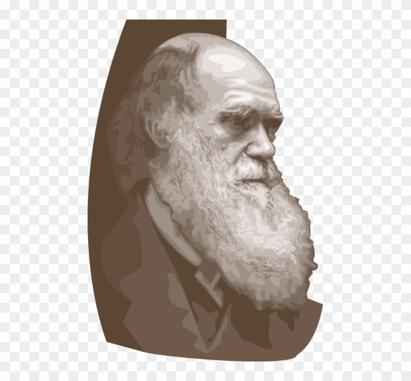 Vector Illustration Of Charles Darwin English Naturalist - Charles Robert Darwin Clipart #3438208