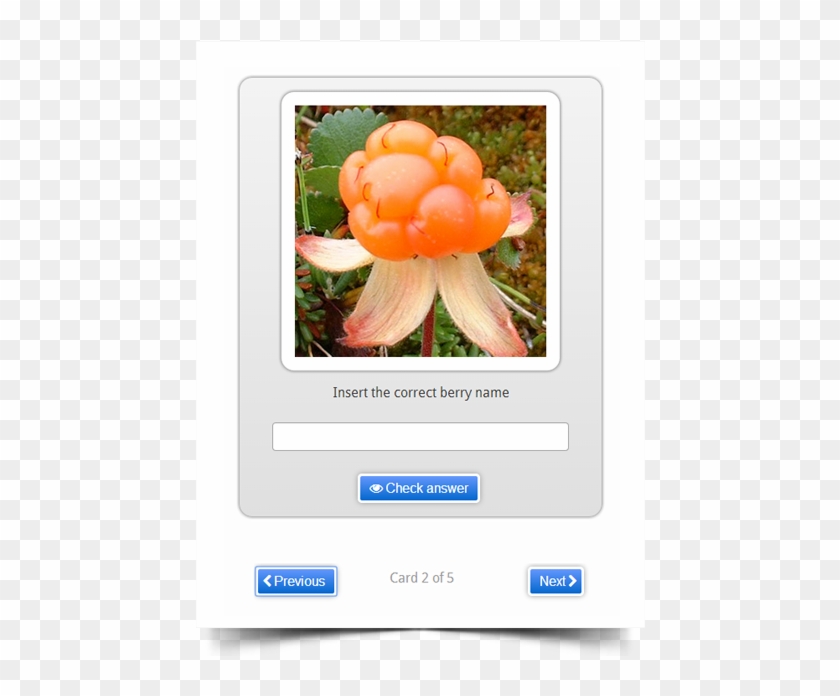 Flashcards - Cloudberry Clipart #3440574
