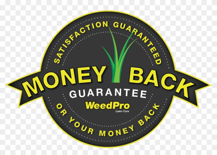 19 Years Of Excellence - Sundance Channel Clipart