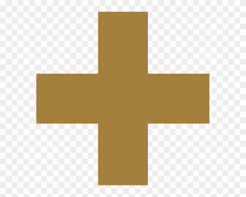 Rcdr2018 Pluslogo - Brown Plus Icon Png Clipart