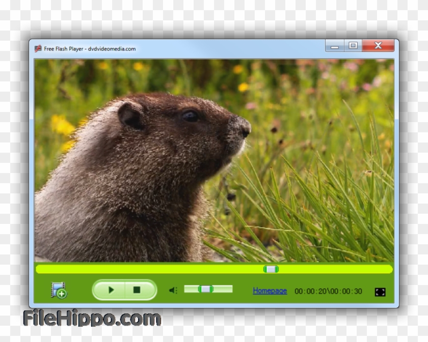 Capture D'écran - Windows 7 Clipart #3442337