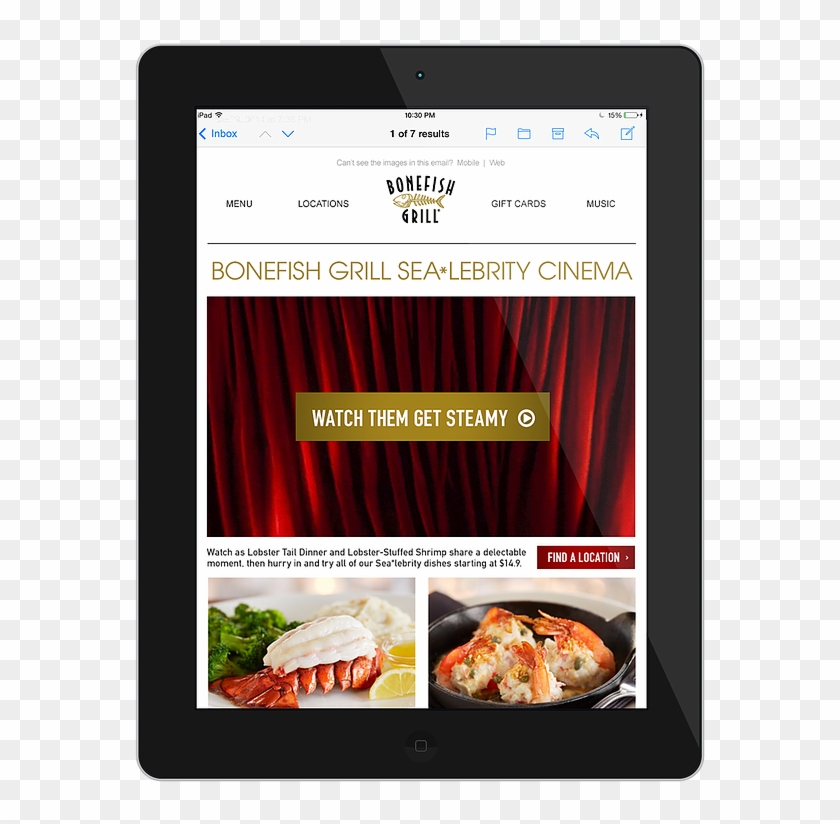 We Reached Out To Our Loyal Fans To Introduce Sea*lebrity - Dish Clipart